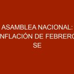 Asamblea Nacional: Inflación de Febrero se ubicó en 22,4 % y la anualizada en 3.276 %