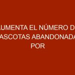 Aumenta el número de mascotas abandonadas por alto costo de alimentos