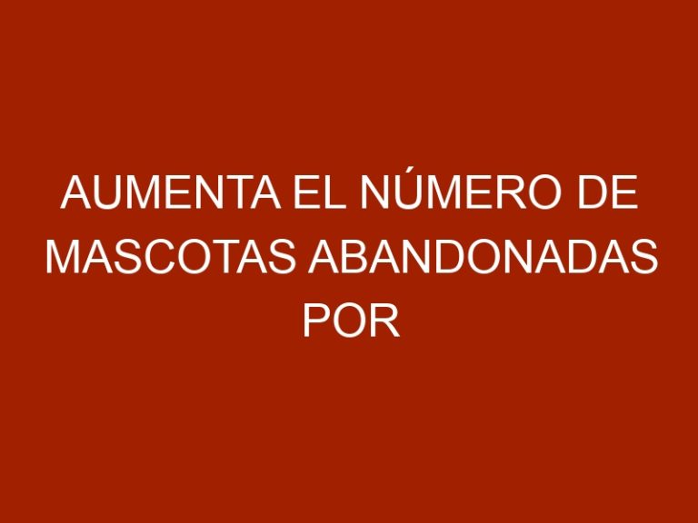 Aumenta el número de mascotas abandonadas por alto costo de alimentos
