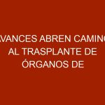 Avances abren camino al trasplante de órganos de cerdos en humanos
