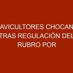 Avicultores chocan tras regulación del rubro por riesgo de producción