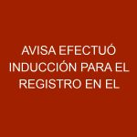 AVISA efectuó inducción para el registro en el SIGESAI