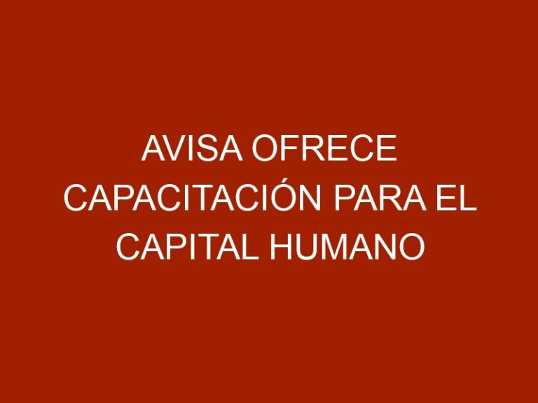 AVISA ofrece capacitación para el capital humano de sus empresas agremiadas.