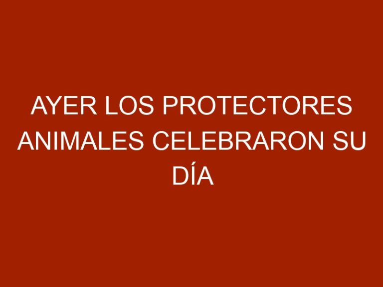 Ayer los protectores animales celebraron su día