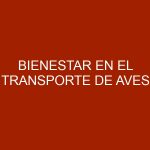 Bienestar en el transporte de aves