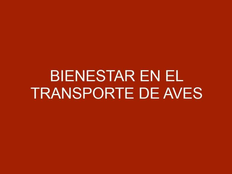 Bienestar en el transporte de aves