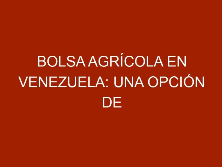 Bolsa Agrícola en Venezuela: Una opción de financiamiento para el sector agroalimentario en Venezuela