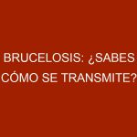 Brucelosis: ¿Sabes cómo se transmite?