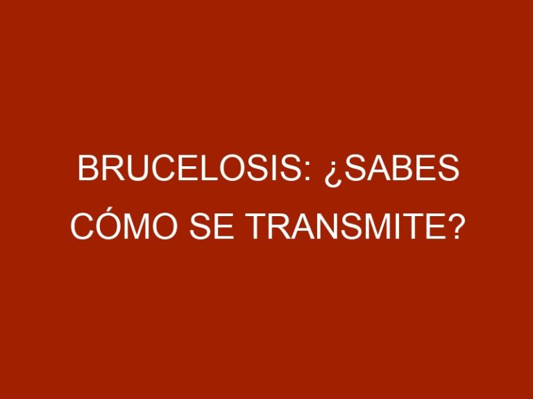 Brucelosis: ¿Sabes cómo se transmite?