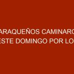 Caraqueños caminaron este domingo por los derechos de los animales