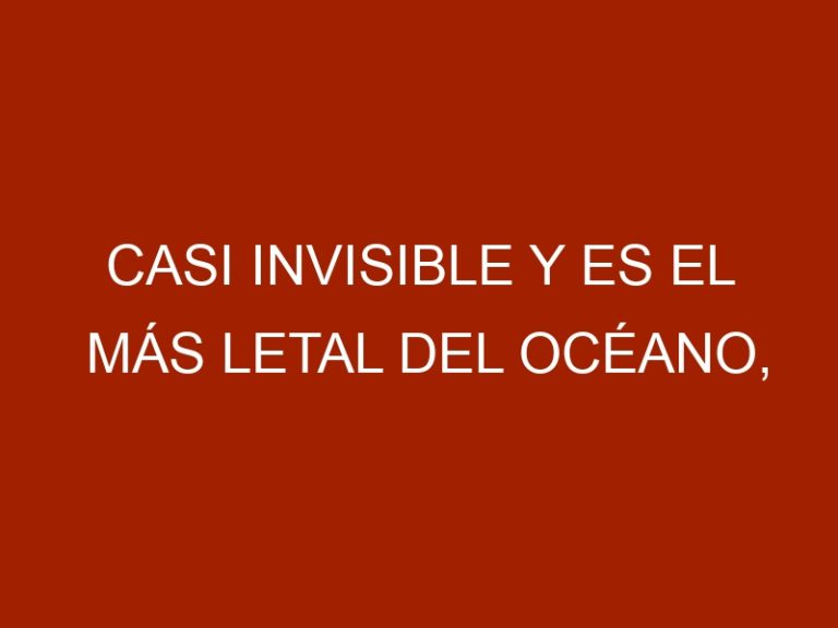 Casi invisible y es el más letal del océano, pez piedra