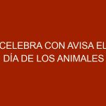 Celebra con AVISA el Día de los Animales