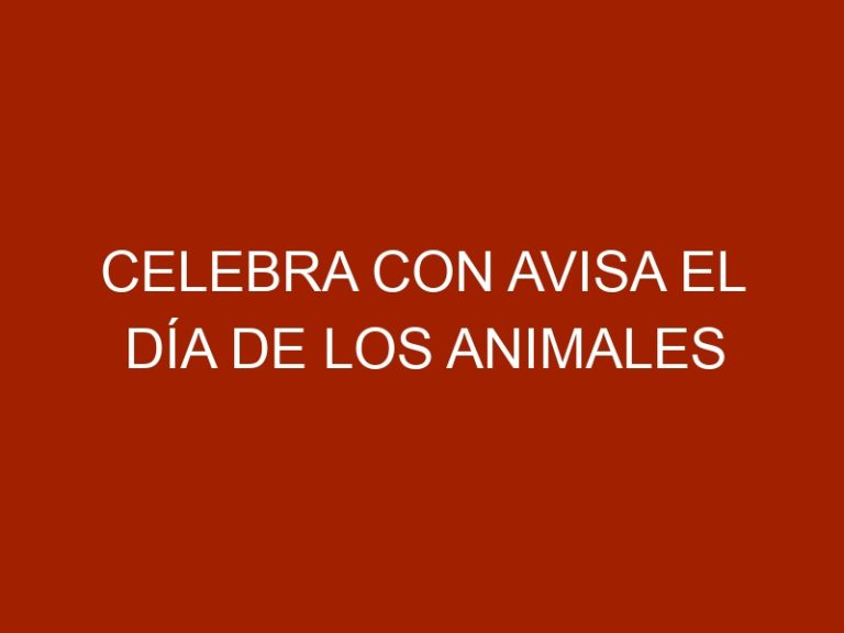 Celebra con AVISA el Día de los Animales