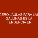 Cero jaulas para las gallinas es la tendencia en producción de huevos
