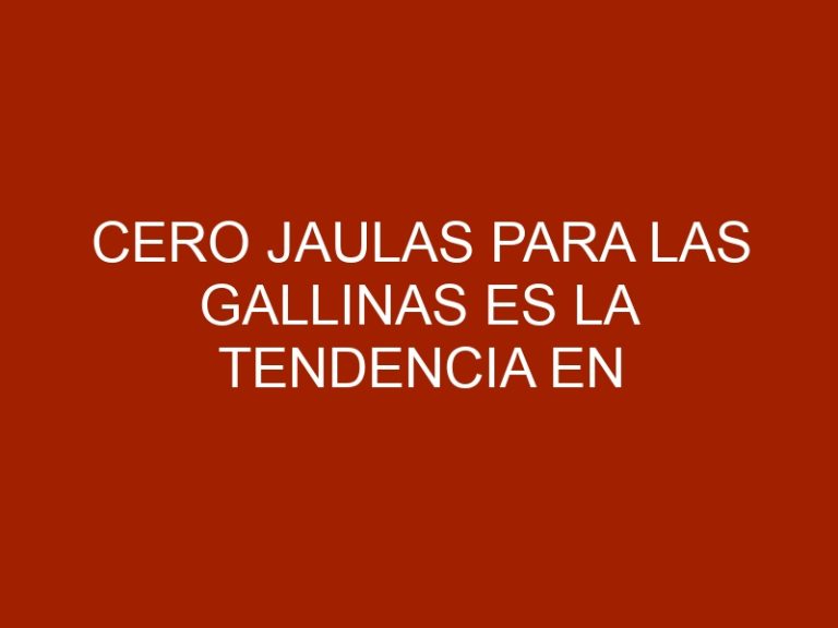 Cero jaulas para las gallinas es la tendencia en producción de huevos