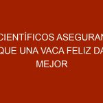Científicos aseguran que una vaca feliz da mejor leche y rica en calcio