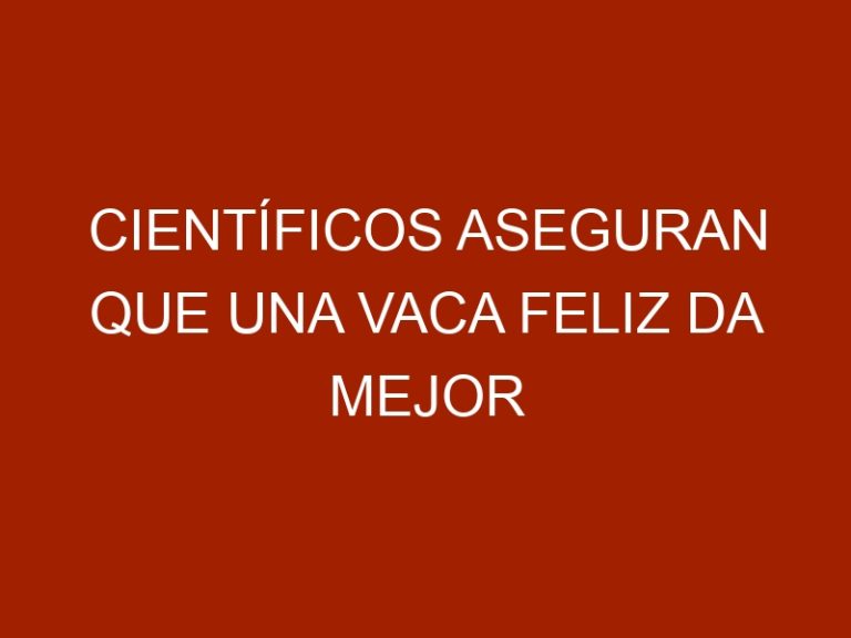 Científicos aseguran que una vaca feliz da mejor leche y rica en calcio