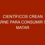 Científicos crean carne para consumir sin matar animales