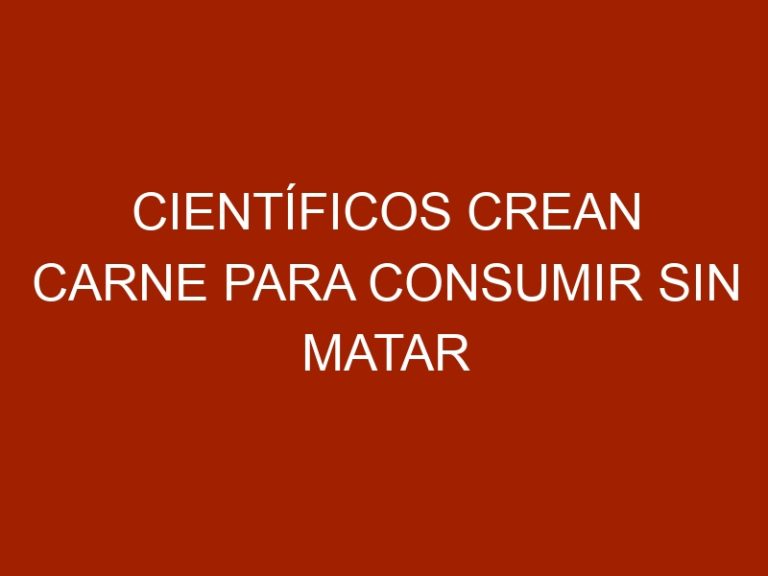 Científicos crean carne para consumir sin matar animales