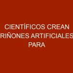 Científicos crean riñones artificiales para animales con éxito