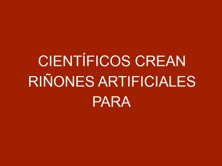 Científicos crean riñones artificiales para animales con éxito