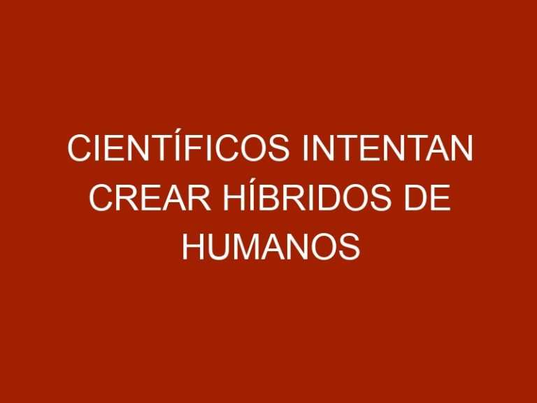 Científicos intentan crear híbridos de humanos y animales