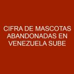 Cifra de mascotas abandonadas en Venezuela sube ante la aguda crisis