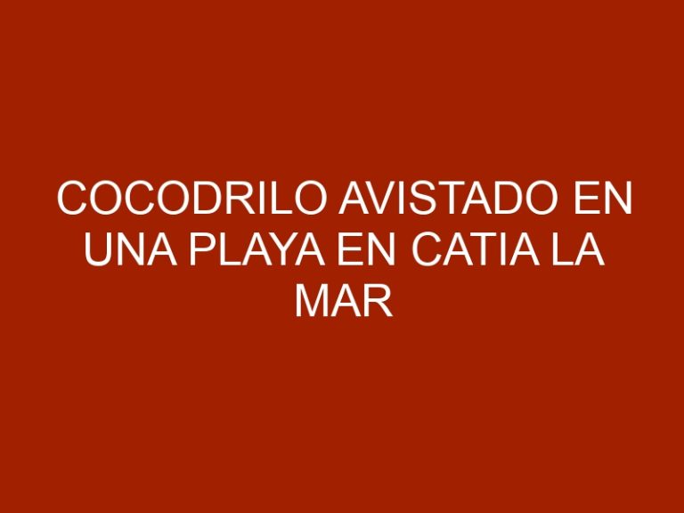 Cocodrilo avistado en una playa en Catia La Mar en Vargas