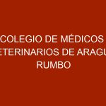 Colegio de Médicos Veterinarios de Aragua rumbo a sus 66 Años