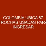 Colombia ubica 87 trochas usadas para ingresar animales desde Venezuela