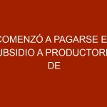 Comenzó a pagarse el subsidio a productores de huevos