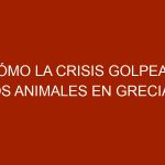 Cómo la crisis golpea a los animales en Grecia y Venezuela