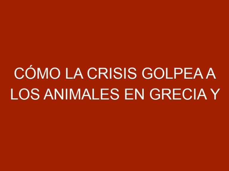 Cómo la crisis golpea a los animales en Grecia y Venezuela