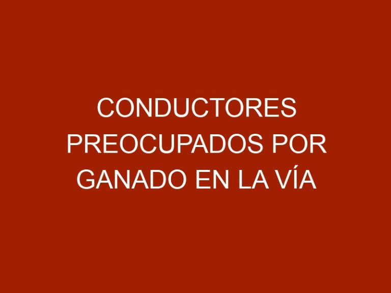 Conductores preocupados por ganado en la vía Anaco – Santa Ana