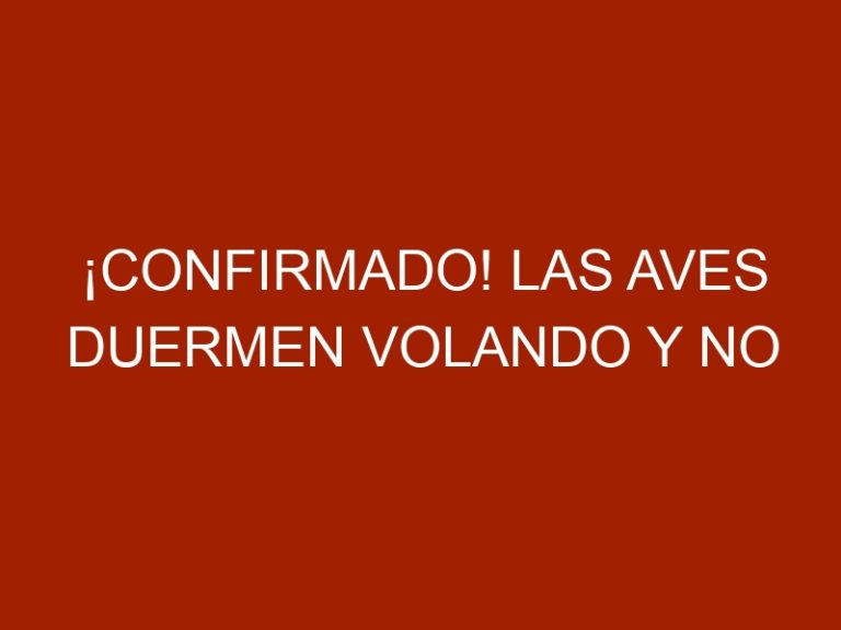 ¡Confirmado! Las aves duermen volando y no pierden la ruta