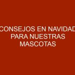 Consejos en Navidad para nuestras mascotas