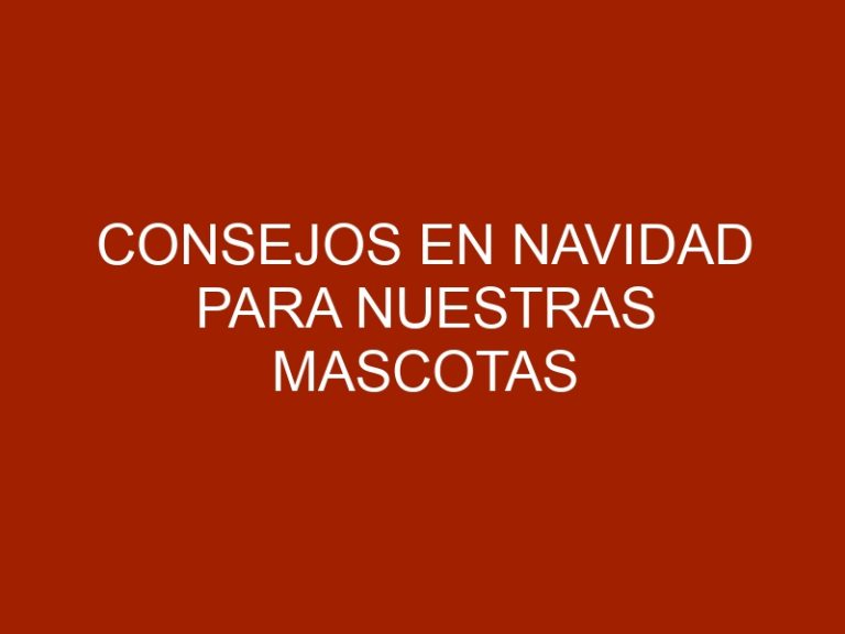 Consejos en Navidad para nuestras mascotas