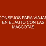 Consejos para viajar en el auto con las mascotas