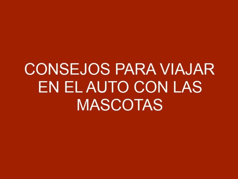 Consejos para viajar en el auto con las mascotas