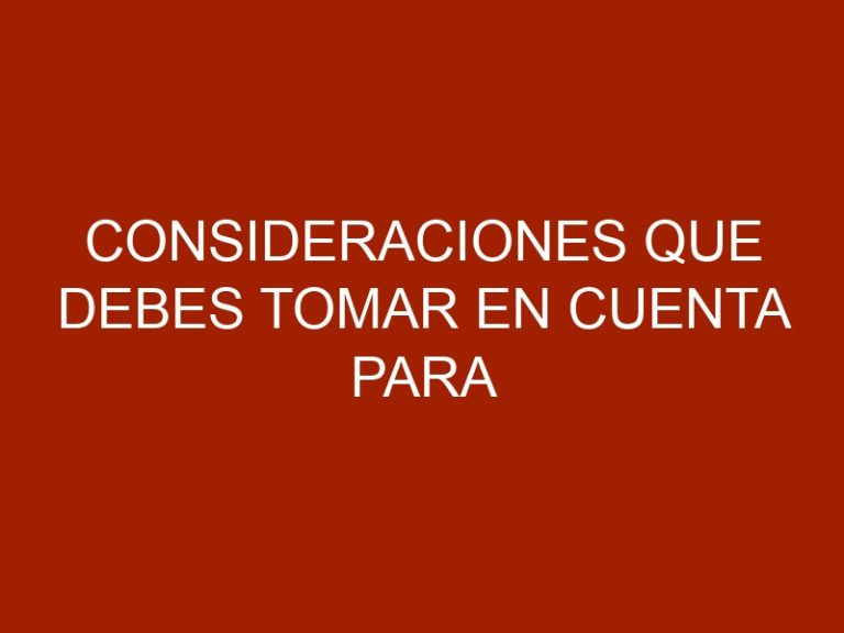 Consideraciones que debes tomar en cuenta para viajar con tu mascota