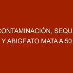 Contaminación, sequía y abigeato mata a 50 vacas por mes en Aragua de Barcelona