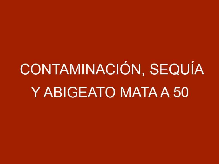 Contaminación, sequía y abigeato mata a 50 vacas por mes en Aragua de Barcelona