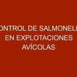 Control de Salmonella en Explotaciones Avícolas