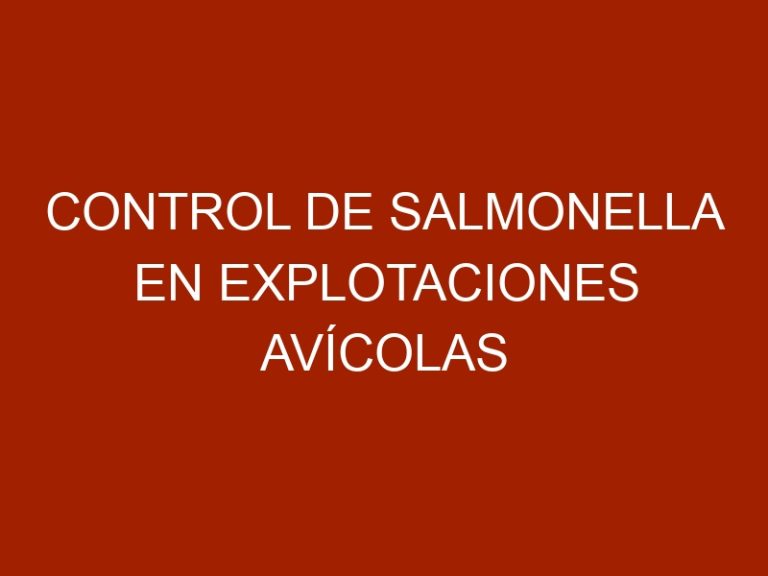 Control de Salmonella en Explotaciones Avícolas