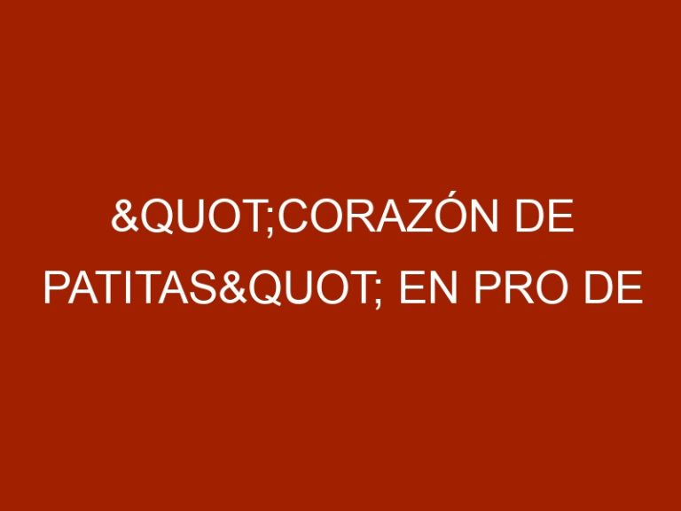 "Corazón de patitas" en pro de animales en situación de calle
