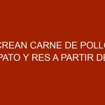 Crean carne de pollo, pato y res a partir de células de animales