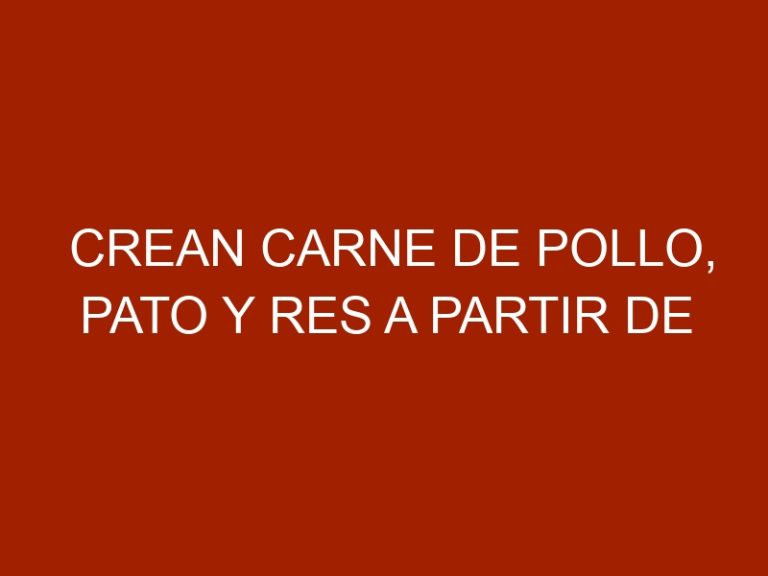 Crean carne de pollo, pato y res a partir de células de animales