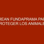 Crean Fundaprama para proteger los animales