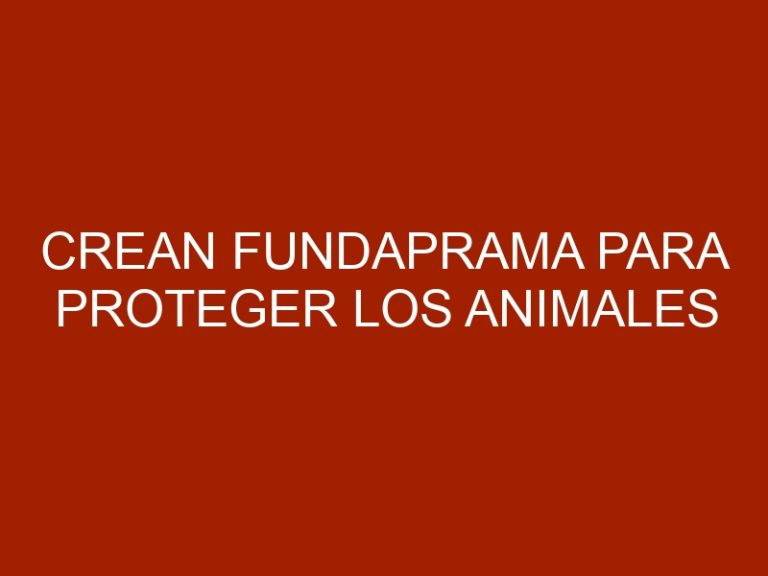 Crean Fundaprama para proteger los animales