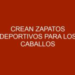 Crean zapatos deportivos para los caballos